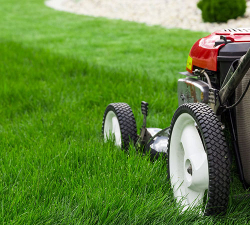 Grass Cutting Works