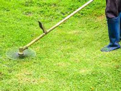 Professional Grass Cutting